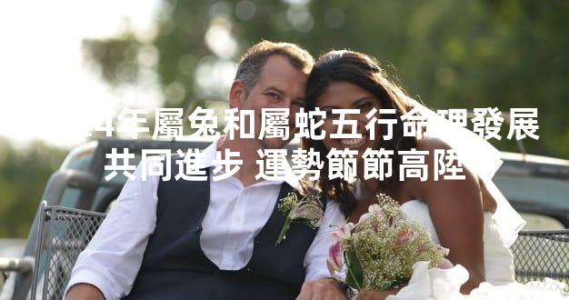 2024年屬兔和屬蛇五行命理發展共同進步 運勢節節高陞